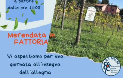 Merendata in Fattoria! – Toscana